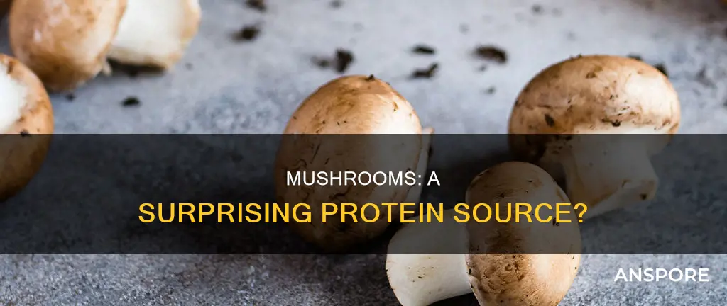 are mushrooms proteitn