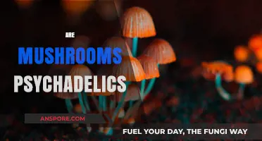 Mushrooms: Hallucinations or Just a Hoax?