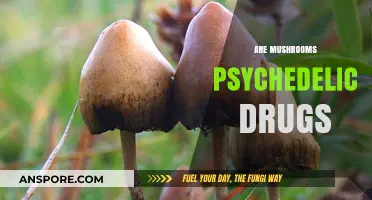 Psychedelic Mushrooms: Hallucinations or Health Benefits?