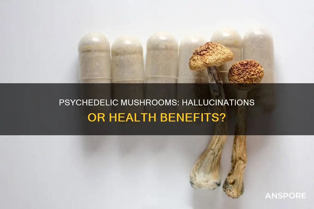 are mushrooms psychedelic drugs