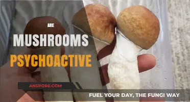 Magic Mushrooms: Psychoactive or Not?
