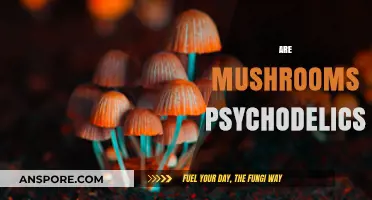 Mushrooms: Hallucinations or Just a Hoax?