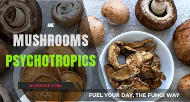 Mushrooms: A Natural Gateway to Psychedelics