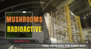 Mushrooms: Radioactive or Not?