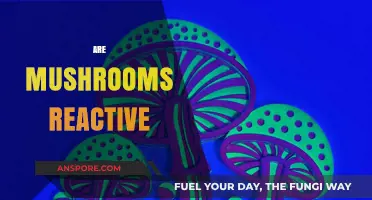 Mushrooms: Reactive or Not?