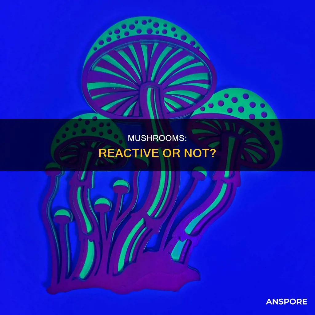are mushrooms reactive