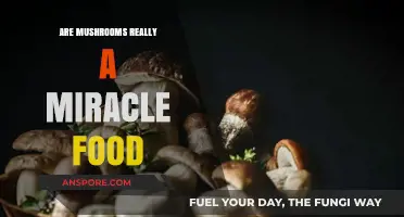 Mushrooms: Superfood or Superstition?