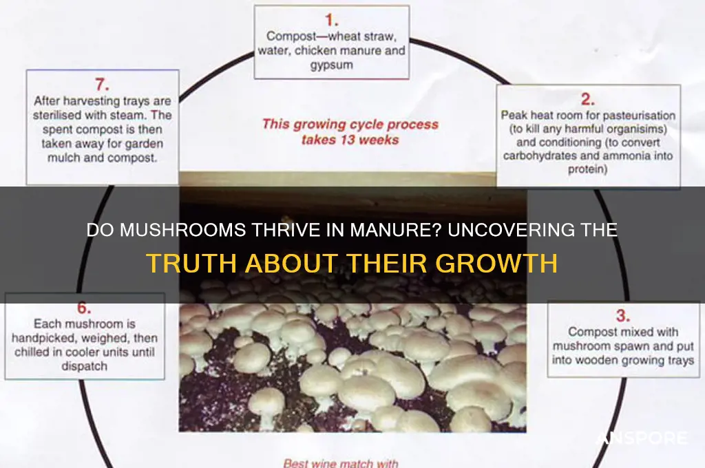 are mushrooms really grow in manure