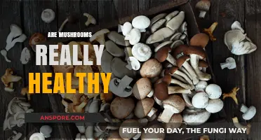 Mushrooms: Superfood or Super-Myth?