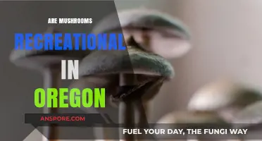 Mushroom Picking in Oregon: What's Legal?