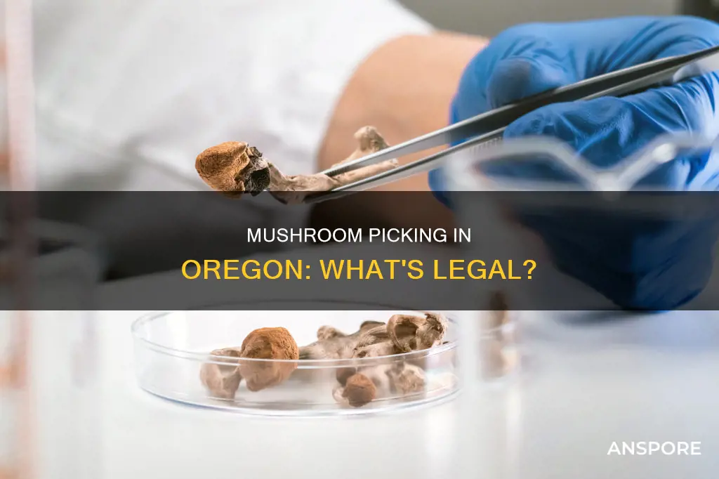 are mushrooms recreational in oregon