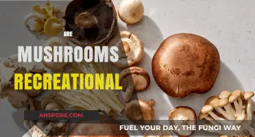 Mushrooms: A Fun Trip or a Bad Trip?