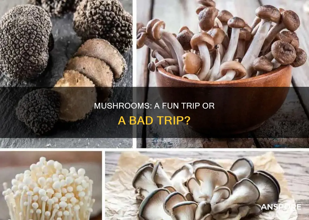 are mushrooms recreational