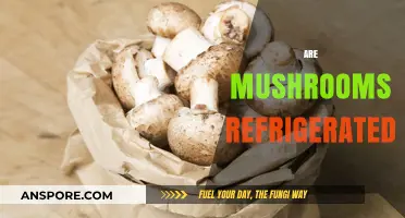 Mushroom Storage: Fridge or Shelf?