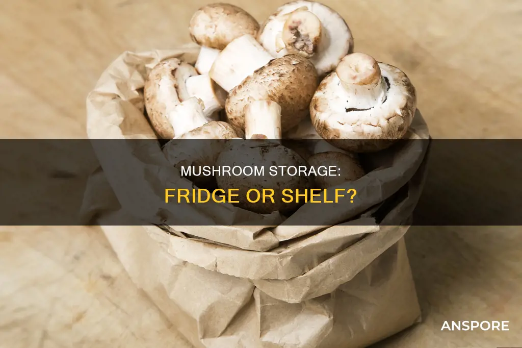 are mushrooms refrigerated