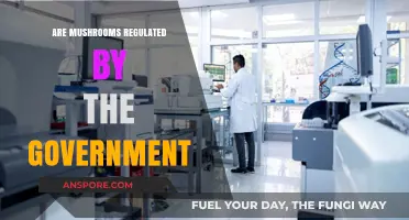 Mushrooms: Government Regulation and Control