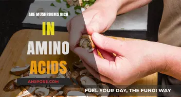 Mushrooms: A Rich Source of Amino Acids?