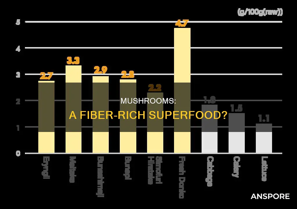 are mushrooms rich in fiber