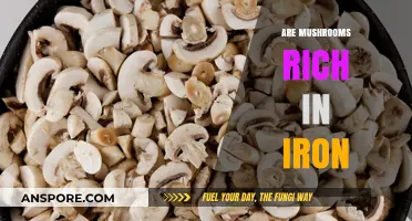 Mushrooms: A Rich Source of Iron?