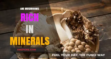 Mushrooms: Nature's Mineral Powerhouses
