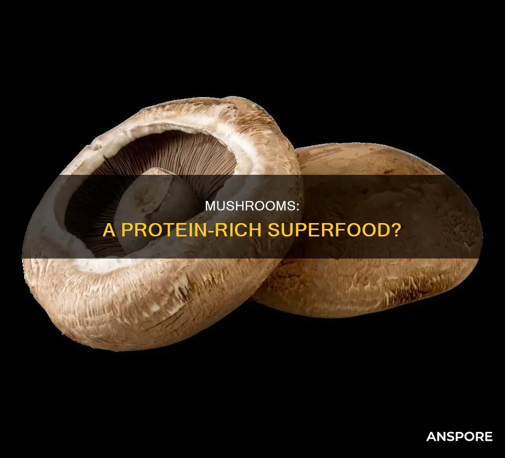 are mushrooms rich in protein