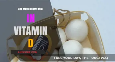 Mushrooms: Nature's Rich Source of Vitamin D
