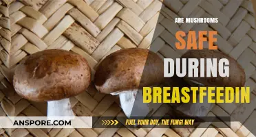 Mushrooms: Safe or Not While Breastfeeding?