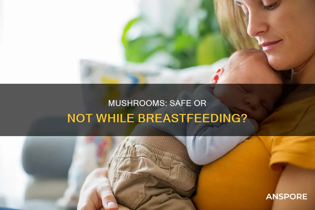 are mushrooms safe during breastfeeding
