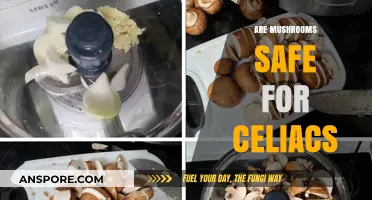 Mushrooms: Safe Superfood for Celiacs?