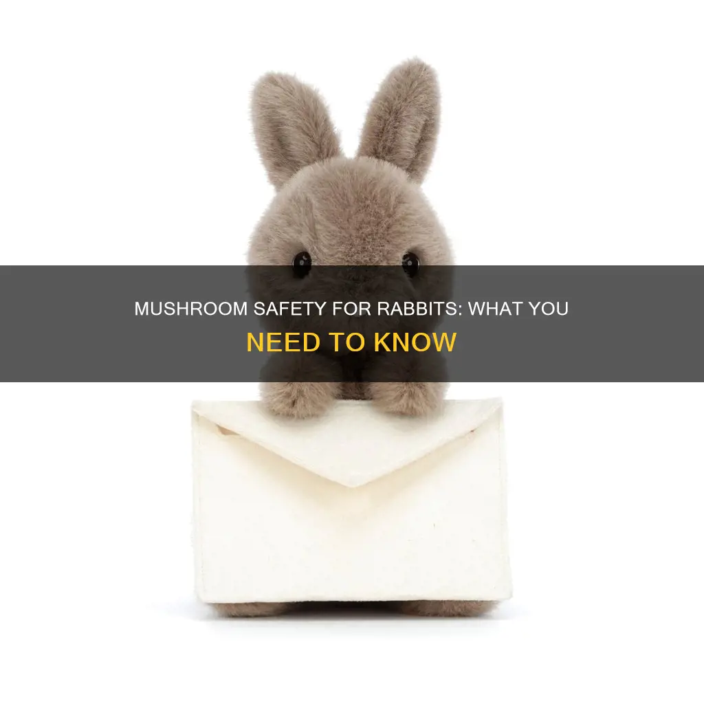 are mushrooms safe for rabbits