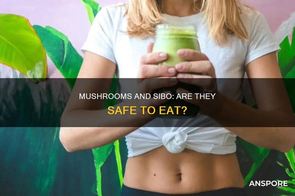 are mushrooms safe for sibo patients