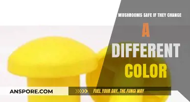Mushroom Color Change: Safe or Not?