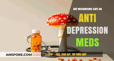 Mushrooms and Antidepressants: Safe Mix or Health Risk?