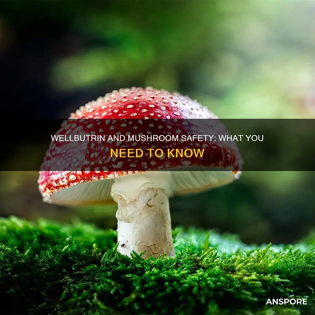 are mushrooms safe on wellbutrin