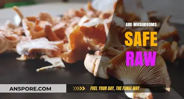 Raw Mushrooms: Safe or Not?