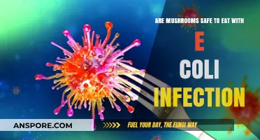 Can You Eat Mushrooms with E. Coli? Safety Tips and Risks