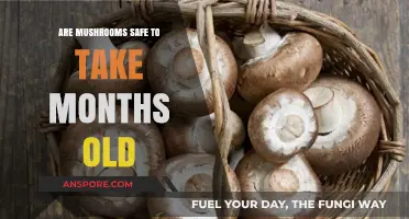 Mushroom Safety: How Long Are They Edible?