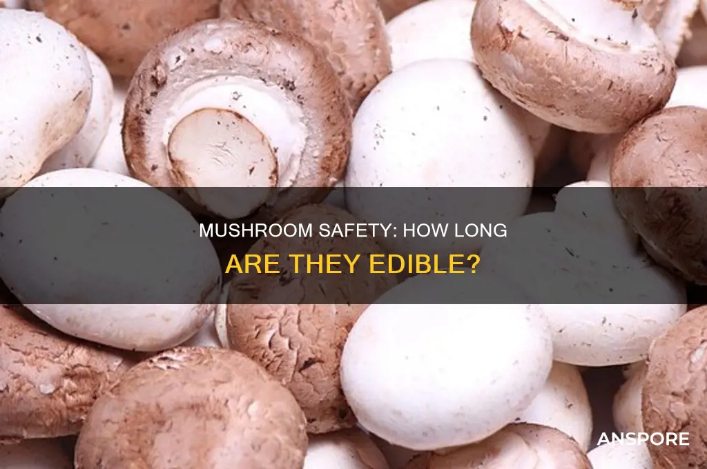 are mushrooms safe to take months old