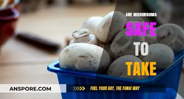 Mushrooms: Safe Superfood or Health Risk?