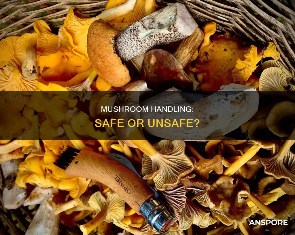 are mushrooms safe to touch