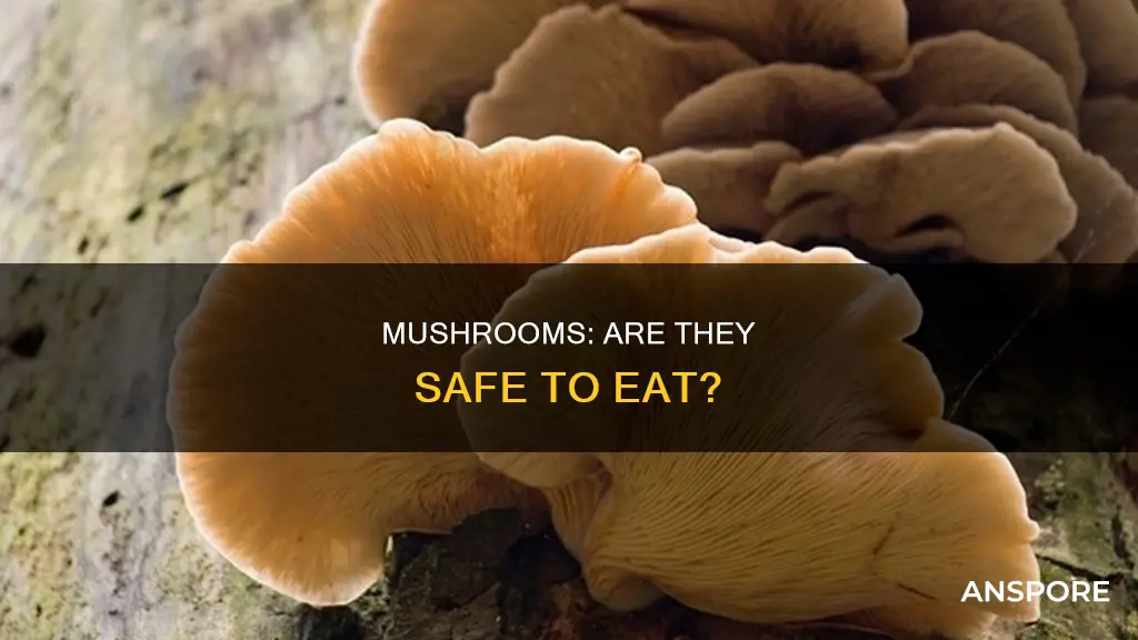 are mushrooms safe