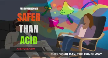 Mushrooms vs Acid: Which Psychedelic is Safer?