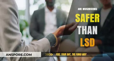 Mushrooms vs LSD: Safer Tripping?