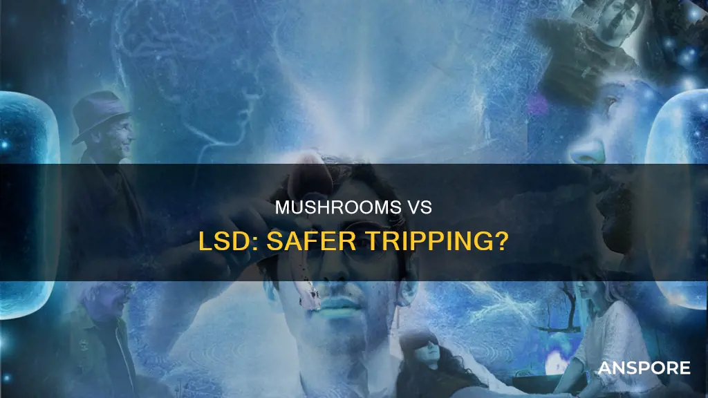 are mushrooms safer than lsd