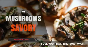 Mushrooms: Savory Superfoods or Something Else?