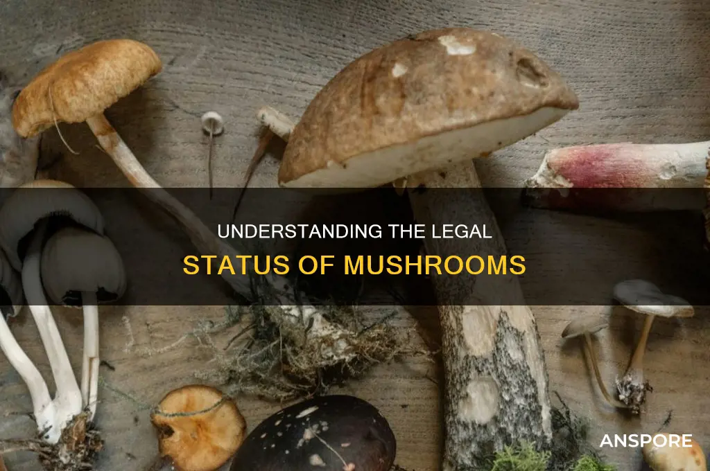 are mushrooms schedule 1 or 2