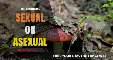 Mushrooms' Surprising Sexuality: Nature's Intriguing Secrets Revealed