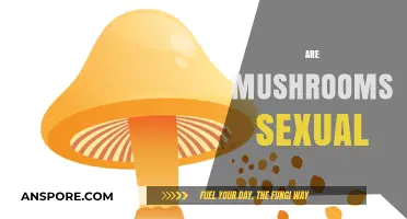 Mushrooms' Surprising Sexual Secrets Revealed