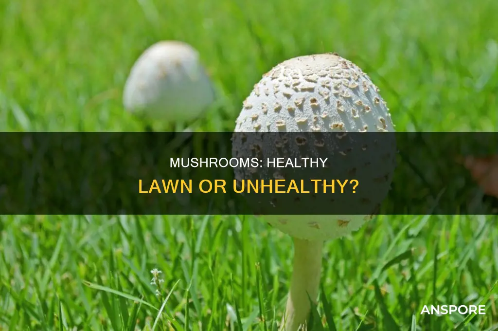 are mushrooms sign of unhealthy grass