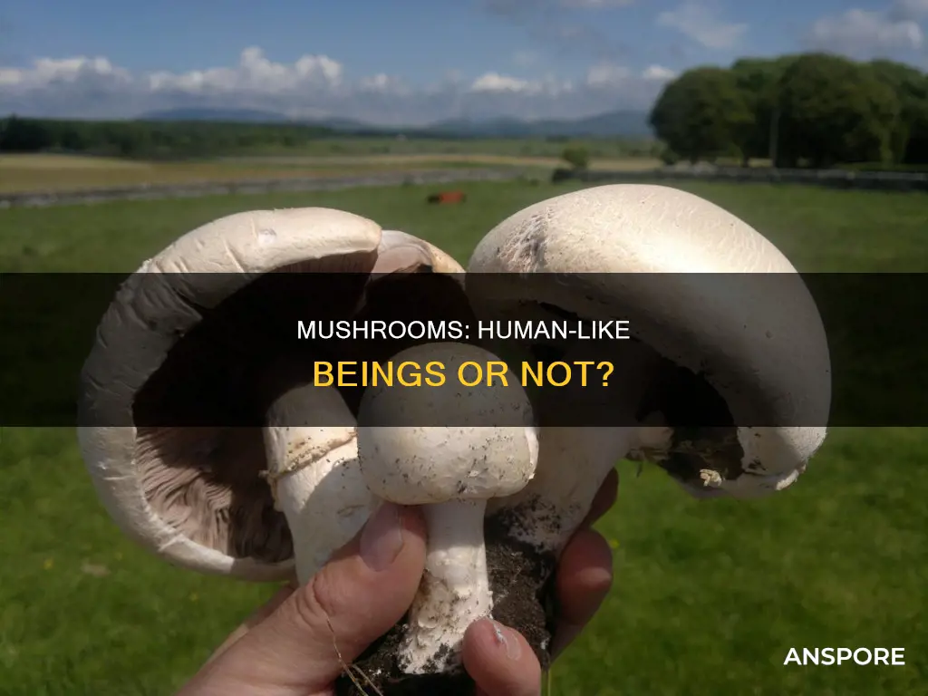 are mushrooms similar to humans